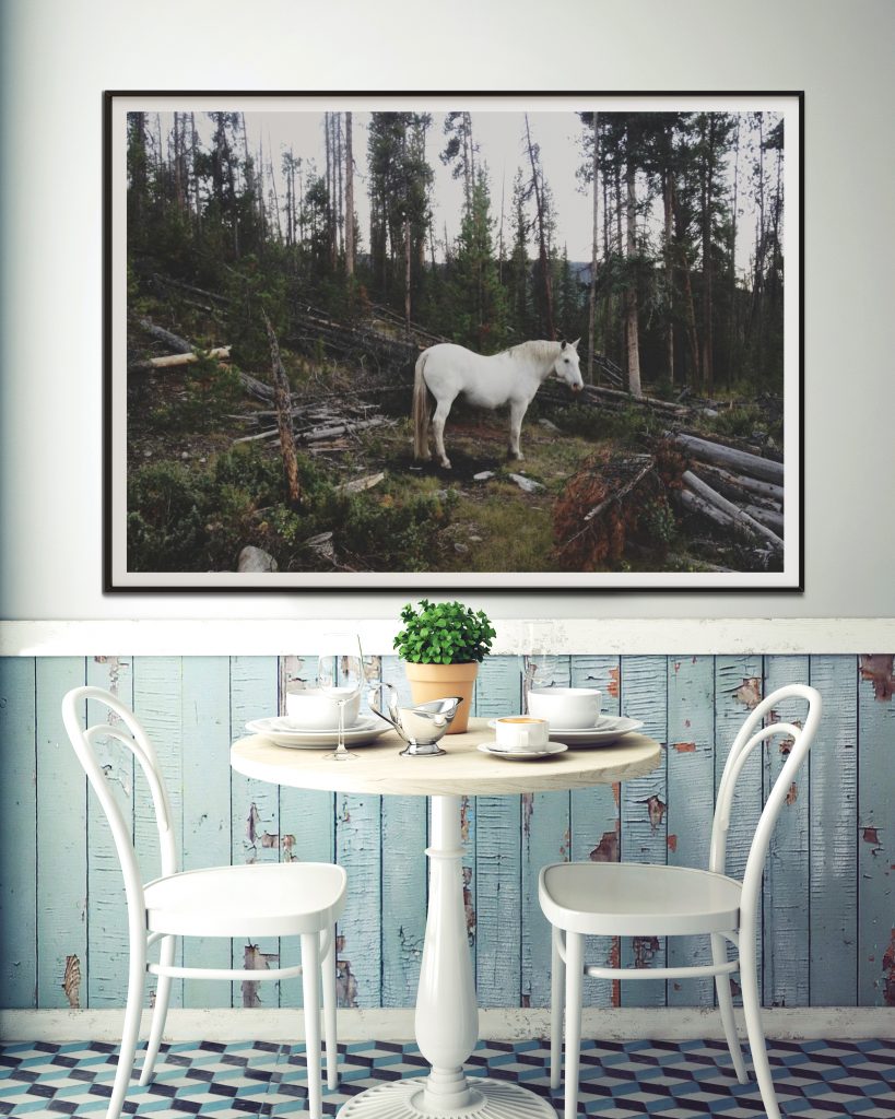 'White Forest Horse# - Fotokunst von Kevin Russ als gerahmten Print kaufen