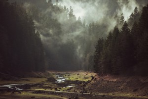 Foggy Forest Creek - Fotokunst von Kevin Russ